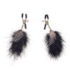 Feather Nipple Clamps and Anal Plug