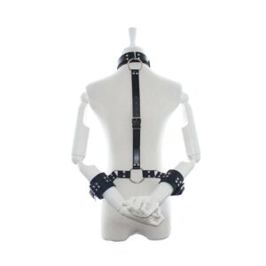 Alternative view of Collar with restraints