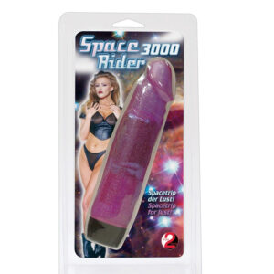 Alternative view of Space Rider 3000