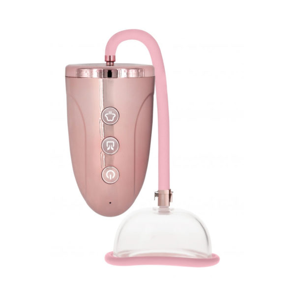 Rechargeable Pussy Pump - Rose Gold